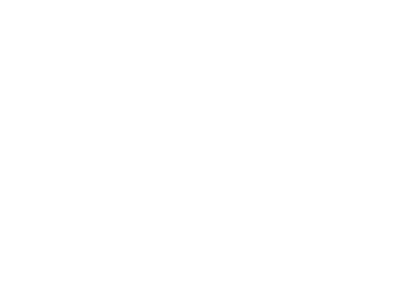 pixel press logo